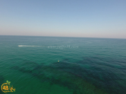 فيديو: جولة على شاطئ حي المنشية في مدينة يافا